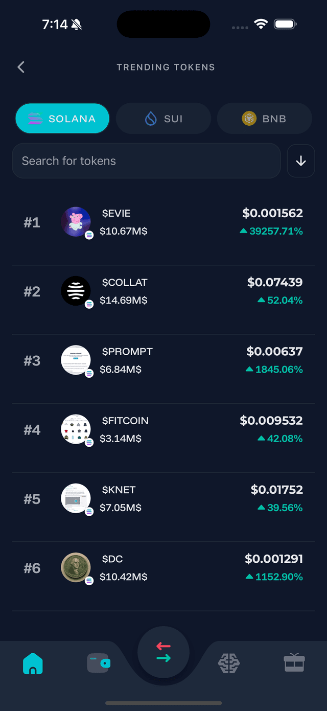 FlipX Solana Wallet Interface