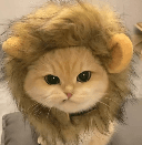 Not a lion, a... logo