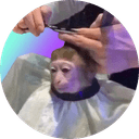 monkeyhaircut logo