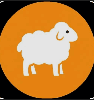 羊群币 logo
