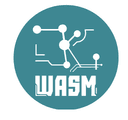 ZKWASM logo