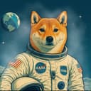 MOONDOGE logo