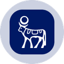 Novo Nordisk (Ondo Tokenized) logo