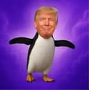 Half Penguin Half Donald logo