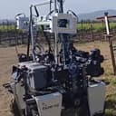 Emma The Ai Scout logo