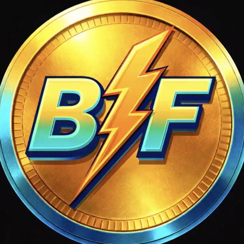 BSF logo