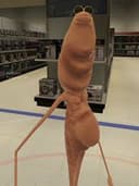 Marcus the Worm logo