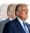 The Trump effect logo