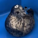 Biscuits The Seal logo