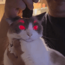 LaserCat logo