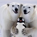 Save The Penguin logo