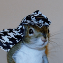 Sugar Bush the Squirrel logo