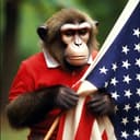 Punch American Flag logo