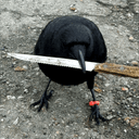 crow with knife logo