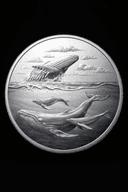 Silver Whale Coin  logo