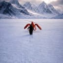 Penguins N Lobsters logo