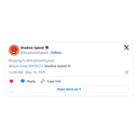 Shadow Speed AI logo