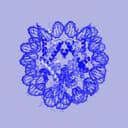 Clarity Protocol logo