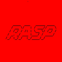 Raspcoin logo