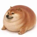 what the big dog doing? logo