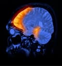 Gambling Disorder logo