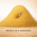 Needle in a haystack logo