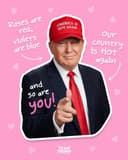 Valentine’s Day On Sol logo