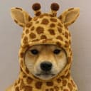 Giraffe Inu logo