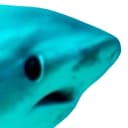 uuhhhhhhhhhhhhhhhhhhhhhhhhhhhhhh logo