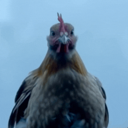 Retarded Chicken logo