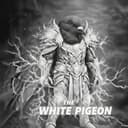 The White Pigeon logo