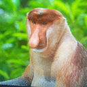 The Great Mountain logo