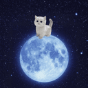 catonthemoon logo