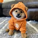 DOG (Bitcoin) logo