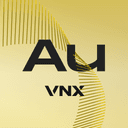 VNX Gold logo