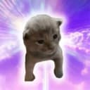 Bipawtisan Doggi Gras Pawrade logo