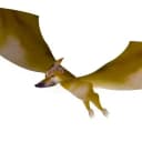 what the dog flying? logo