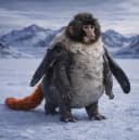 PunchPenguinMoodengHenry logo