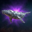 The Diamond Whales logo