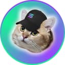 CatSolHat logo