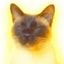 Felis Domesticus Chester Willard logo